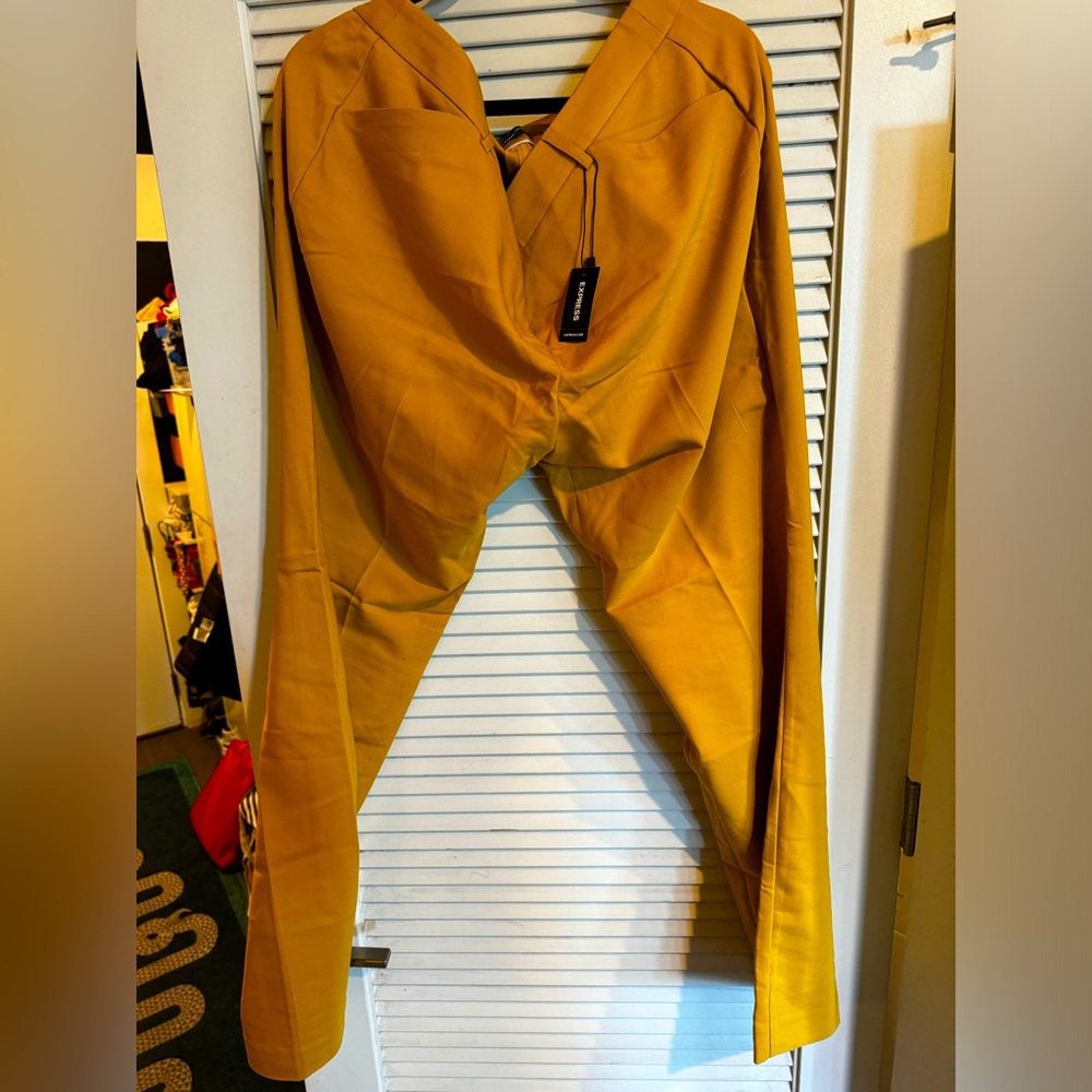 NWT 18 Long Express Barely Boot Low Rise Mustard Yellow Pants